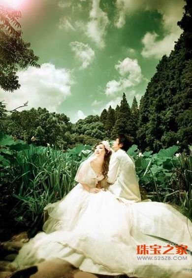 绿叶婚纱摄影_绿叶图片手机壁纸
