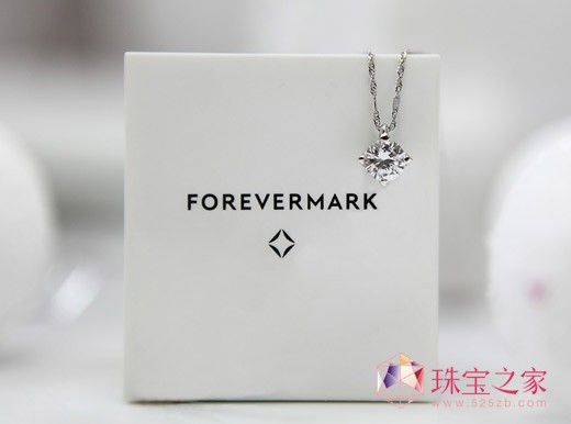 Forevermarkӡ2013ĩѡϵͼƬ