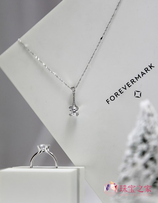 Forevermarkӡ2013ĩѡϵͼƬ